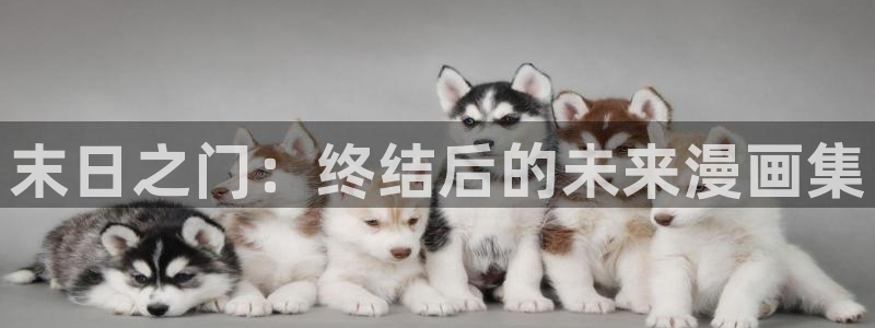 漫蛙manwa官网版 女孩